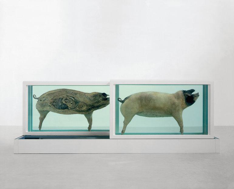 damien hirst opere
